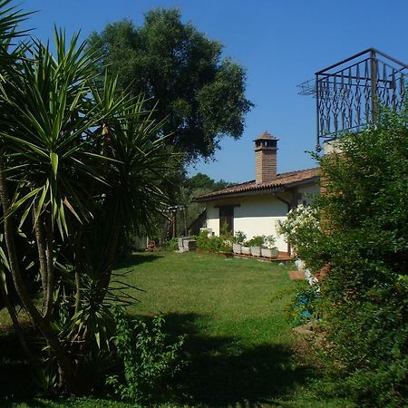 Villetta In Maremma La Pescaia Екстер'єр фото